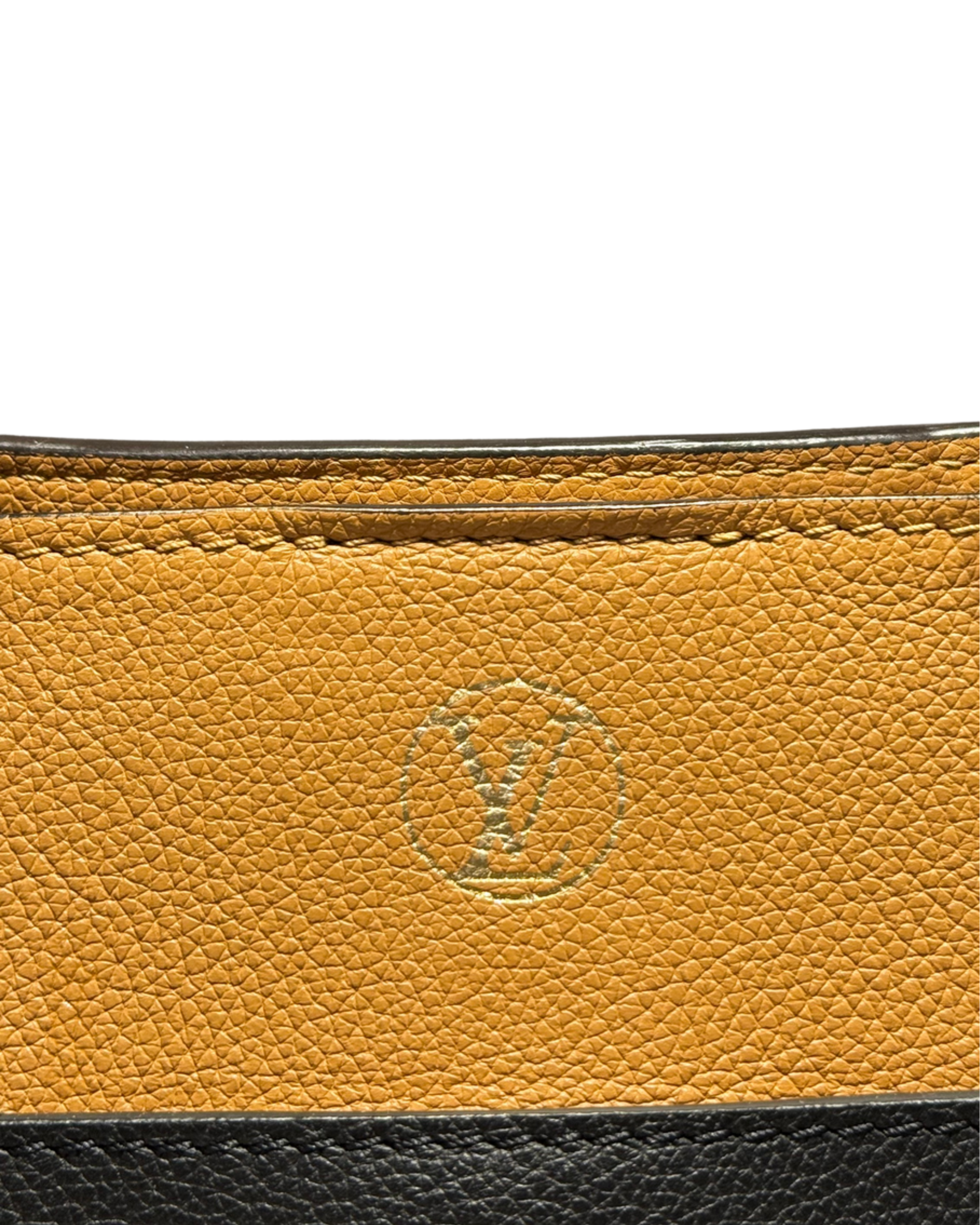 Louis Vuitton Tote on my side