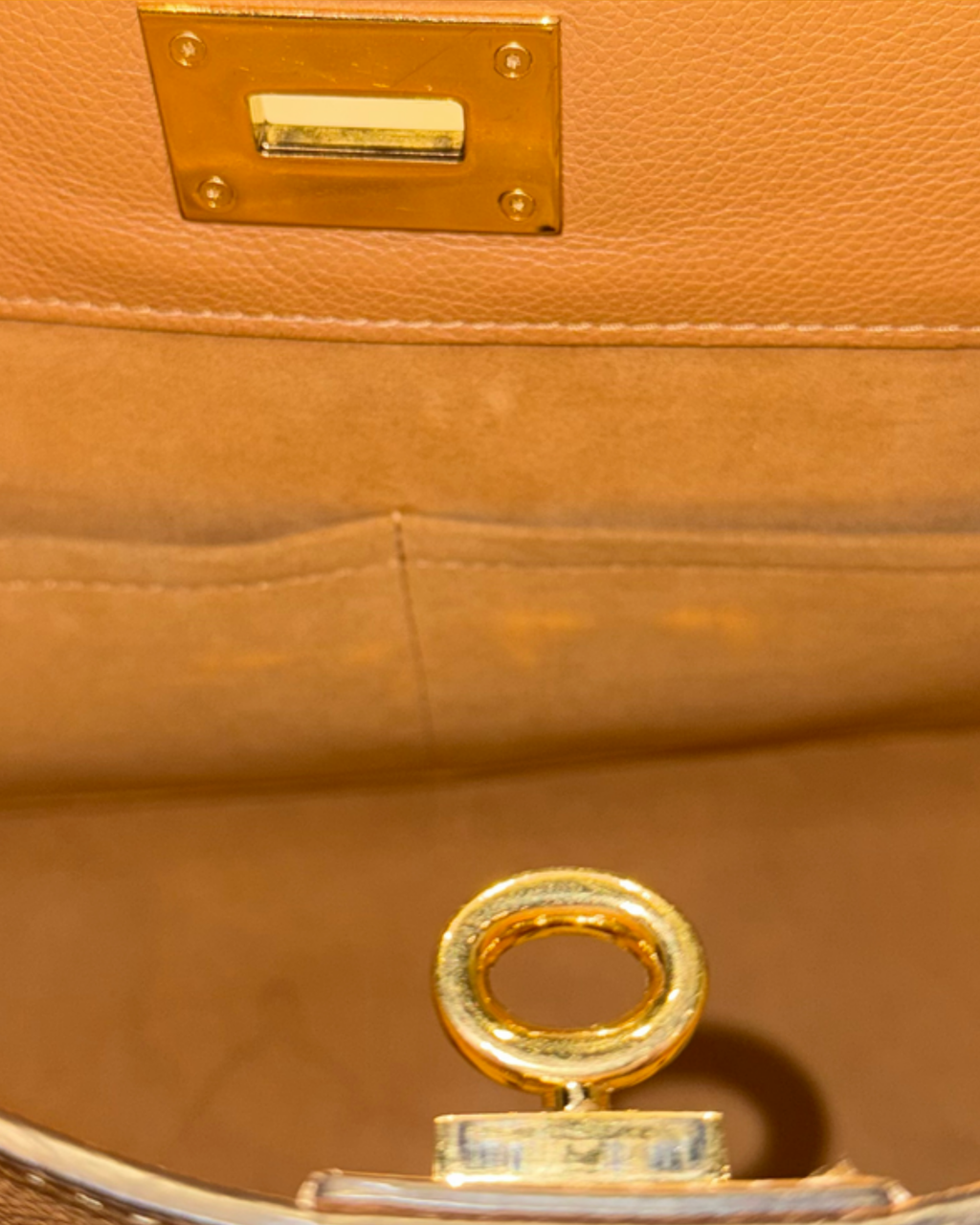 Louis Vuitton Tote on my side