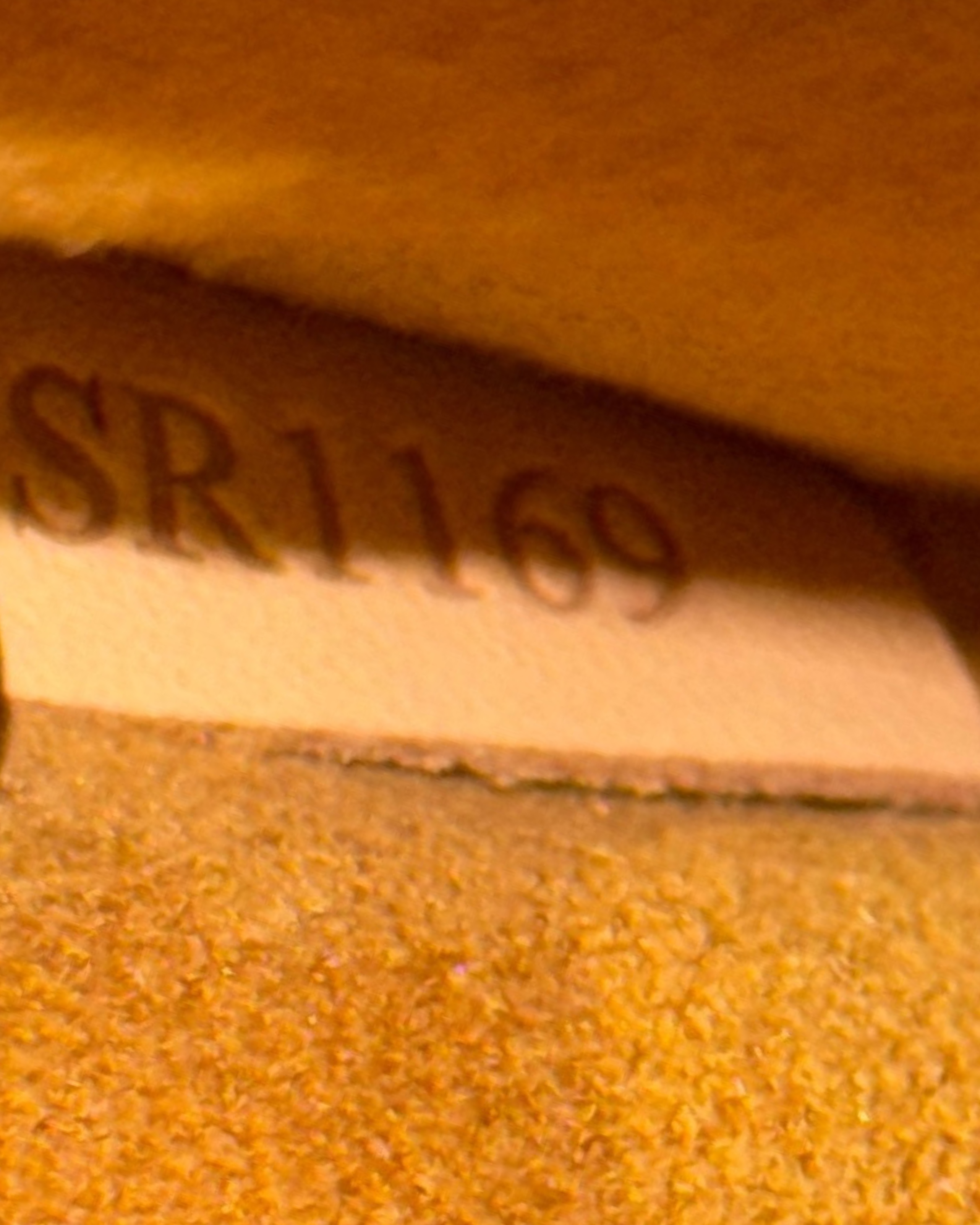 Louis Vuitton Tote on my side