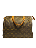 Louis Vuitton Speedy 30 Monogram
