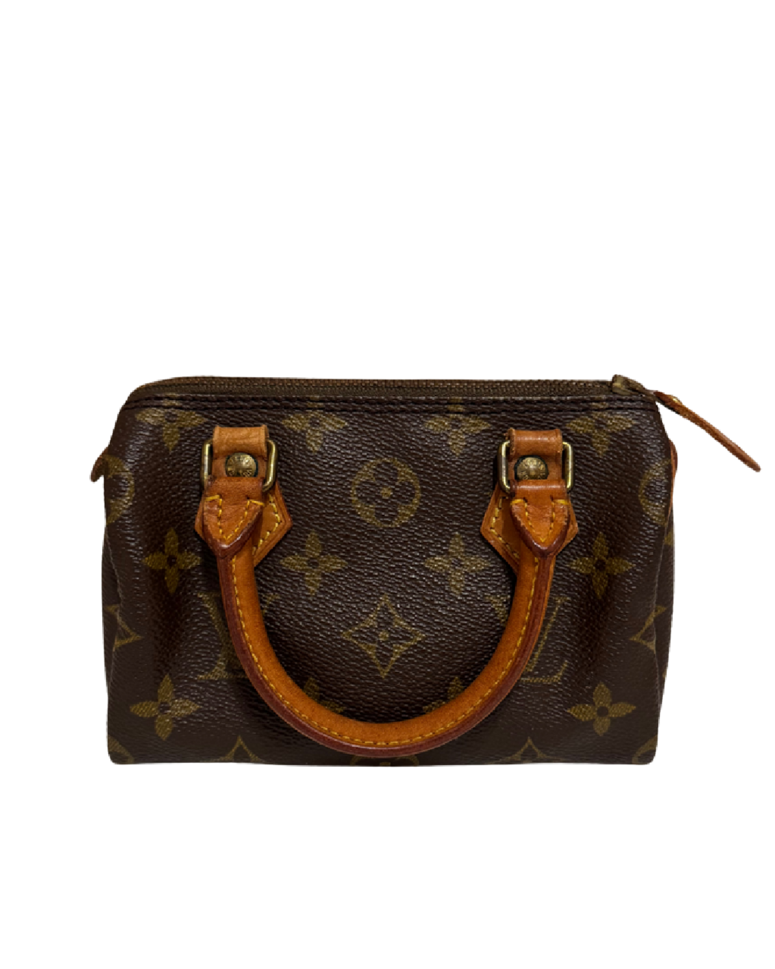 Mini Borsa Louis Vuitton in Tela Monogram
