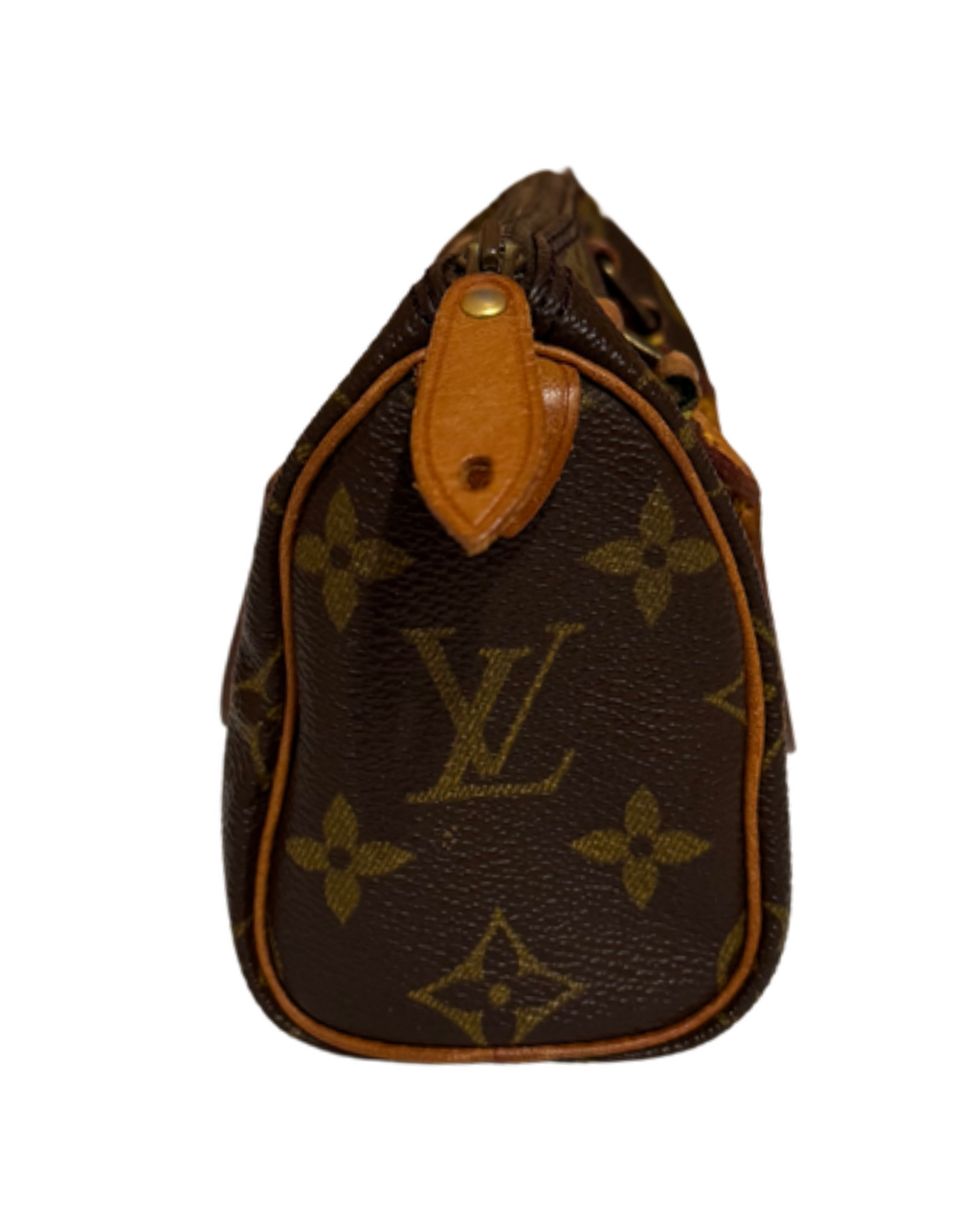 Mini Borsa Louis Vuitton in Tela Monogram