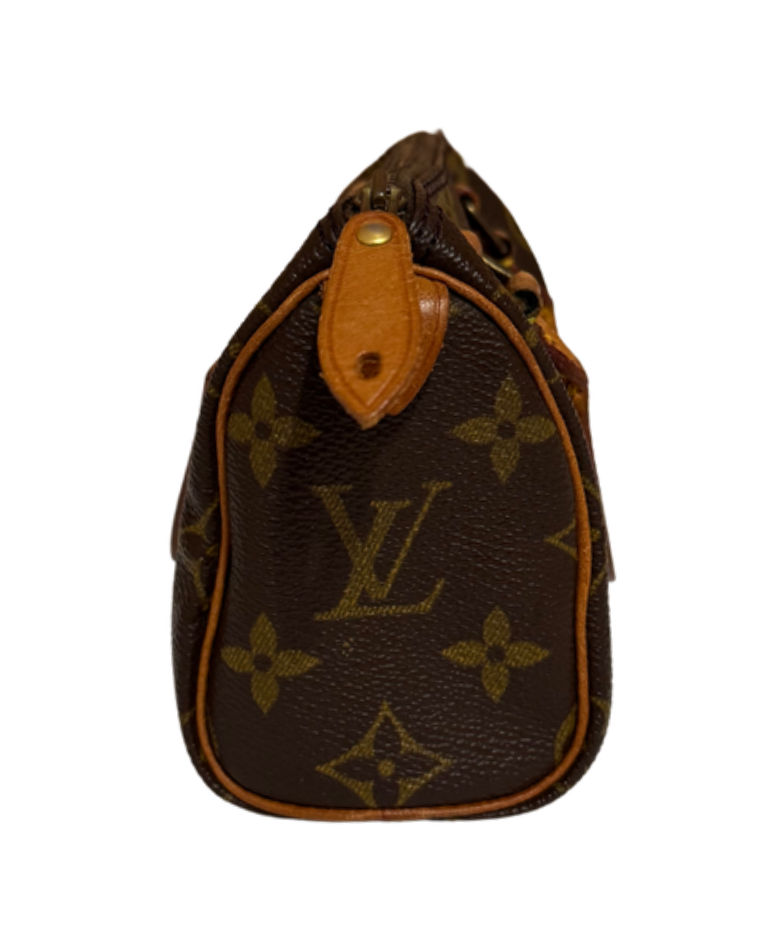 Mini Borsa Louis Vuitton in Tela Monogram