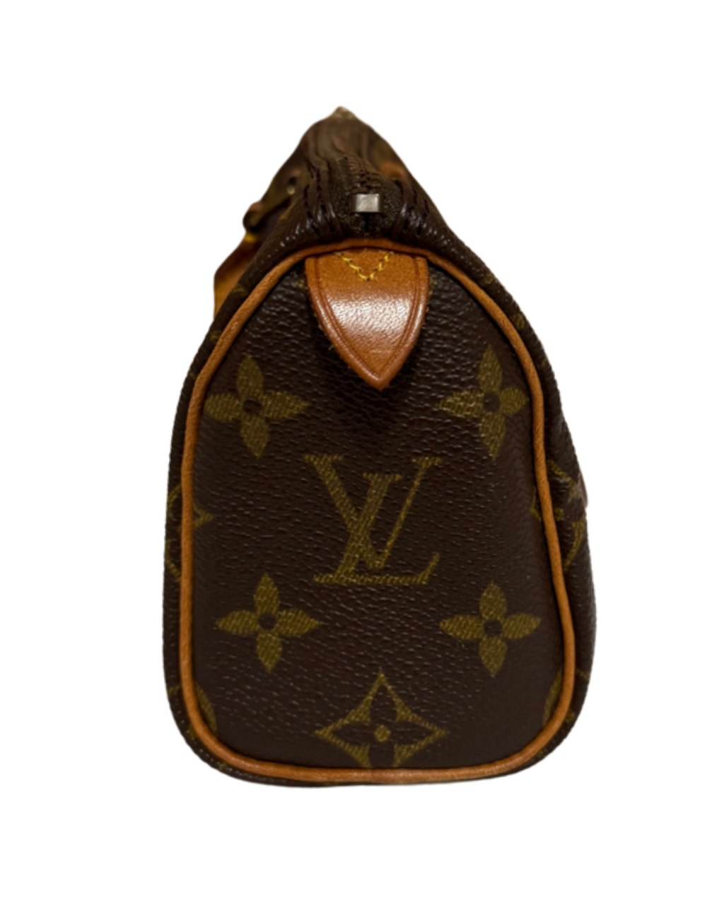 Mini Borsa Louis Vuitton in Tela Monogram